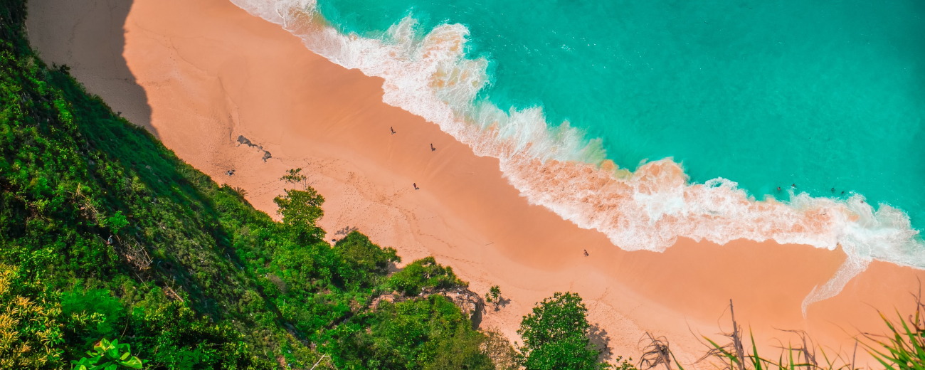 Bali Island Indonesia beach Palm trees